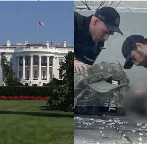 GridArt_20251126_204525147